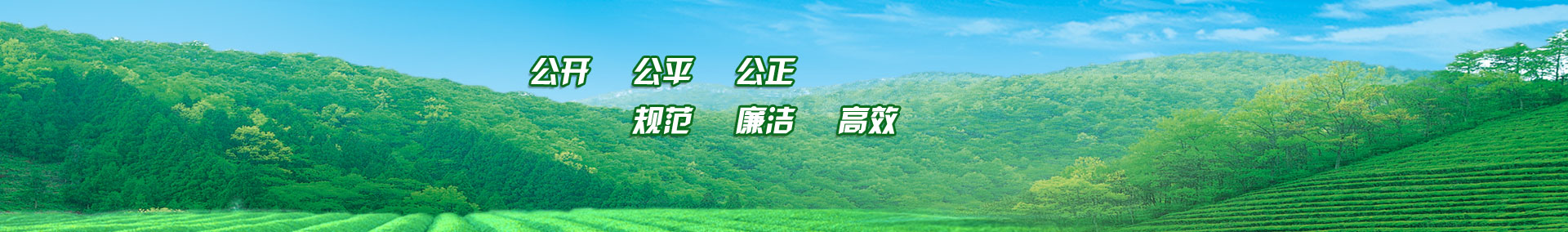 水質(zhì)檢測(cè)